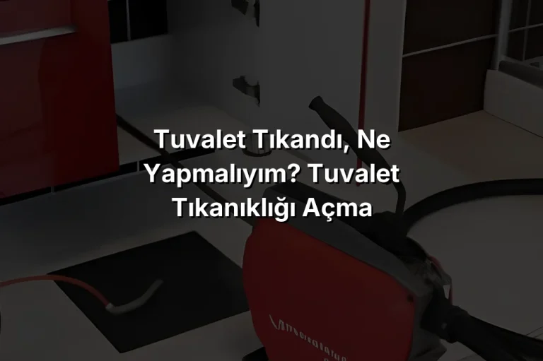 Tuvalet tıkandı, ne yapmalıyım? Tuvalet Tıkanıklığı Açma